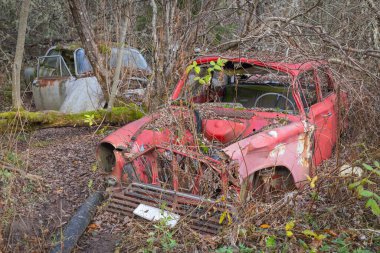 Piçler, Varmland, İsveç. 3 Kasım 2024. Bastnas Araba Mezarlığı 'nda hurda arabalar..