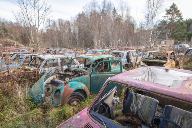 Piçler, Varmland, İsveç. 3 Kasım 2024. Bastnas Araba Mezarlığı 'nda hurda arabalar..