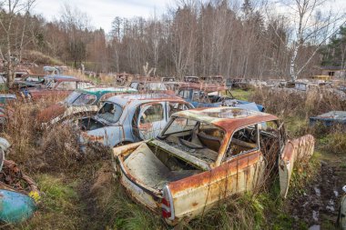 Piçler, Varmland, İsveç. 3 Kasım 2024. Bastnas Araba Mezarlığı 'nda hurda arabalar..