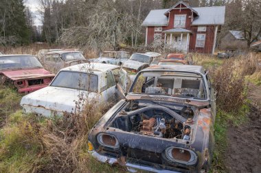 Piçler, Varmland, İsveç. 3 Kasım 2024. Terk edilmiş ev ve hurda arabalar Bastnas araba mezarlığında..
