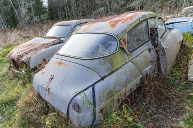 Piçler, Varmland, İsveç. 3 Kasım 2024. Bastnas Araba Mezarlığı 'nda hurda arabalar..