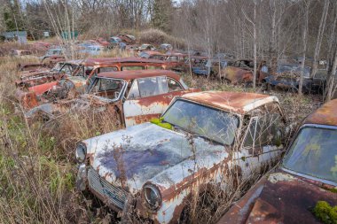 Piçler, Varmland, İsveç. 3 Kasım 2024. Bastnas Araba Mezarlığı 'nda hurda arabalar..