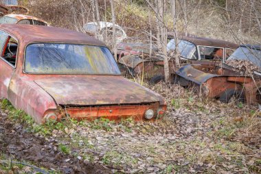 Piçler, Varmland, İsveç. 3 Kasım 2024. Bastnas Araba Mezarlığı 'nda hurda arabalar..