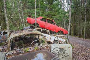 Piçler, Varmland, İsveç. 3 Kasım 2024. Bastnas araba mezarlığındaki bir ormanda hurda arabalar..