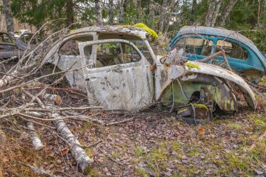 Piçler, Varmland, İsveç. 3 Kasım 2024. Bastnas Araba Mezarlığı 'nda hurda Volkswagen Böceği.