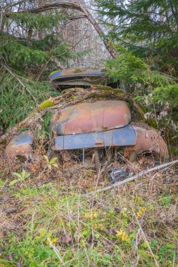 Piçler, Varmland, İsveç. 3 Kasım 2024. Bastnas araba mezarlığındaki bir ormanda hurda arabalar..