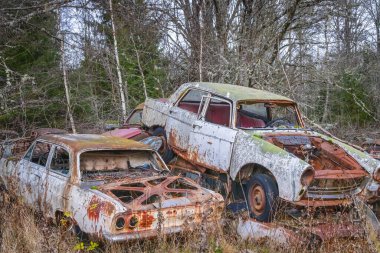 Piçler, Varmland, İsveç. 3 Kasım 2024. Bastnas Araba Mezarlığı 'nda hurda arabalar..