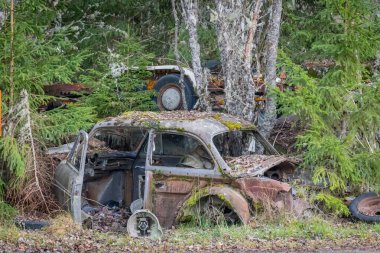 Piçler, Varmland, İsveç. 3 Kasım 2024. Bastnas araba mezarlığındaki bir ormanda hurda arabalar..