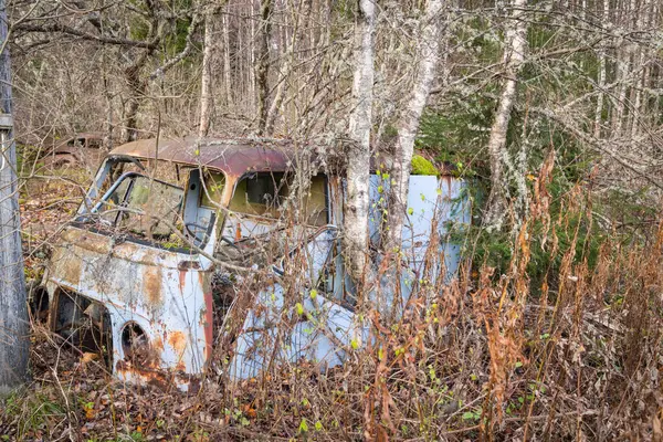 Piçler, Varmland, İsveç. 3 Kasım 2024. Bastnas Araba Mezarlığı 'nda hurda arabalar..