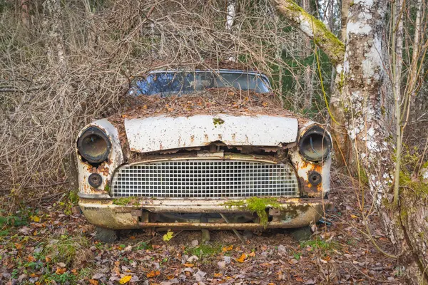 Piçler, Varmland, İsveç. 3 Kasım 2024. Bastnas Araba Mezarlığı 'nda hurda arabalar..