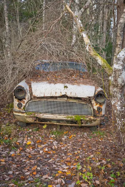 Piçler, Varmland, İsveç. 3 Kasım 2024. Bastnas Araba Mezarlığı 'nda hurda arabalar..