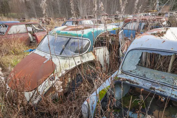 Piçler, Varmland, İsveç. 3 Kasım 2024. Bastnas Araba Mezarlığı 'nda hurda arabalar..