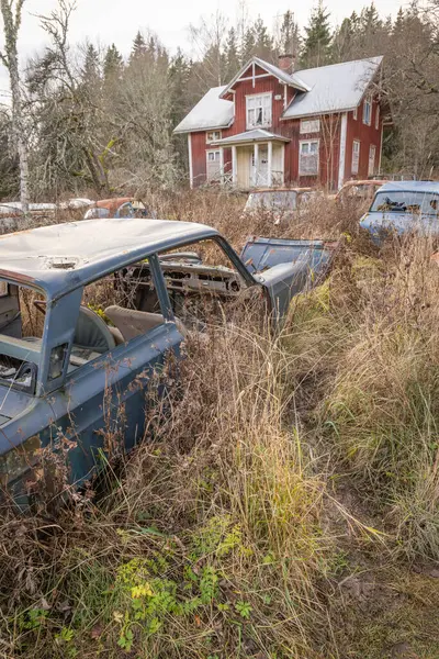 Piçler, Varmland, İsveç. 3 Kasım 2024. Terk edilmiş ev ve hurda arabalar Bastnas araba mezarlığında..