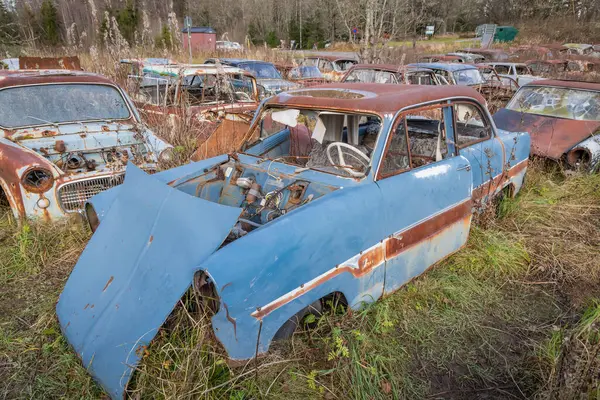 Piçler, Varmland, İsveç. 3 Kasım 2024. Bastnas Araba Mezarlığı 'nda hurda arabalar..