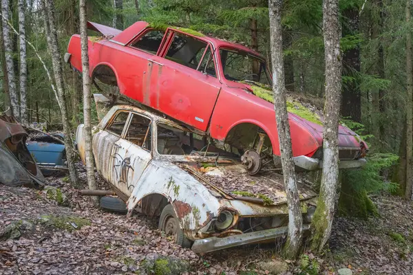 Piçler, Varmland, İsveç. 3 Kasım 2024. Bastnas araba mezarlığındaki bir ormanda hurda arabalar..