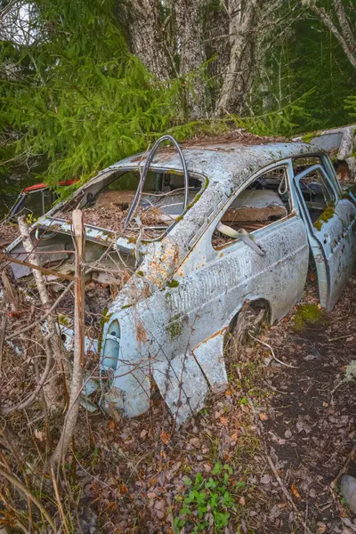 Piçler, Varmland, İsveç. 3 Kasım 2024. Bastnas araba mezarlığındaki bir ormanda hurda arabalar..