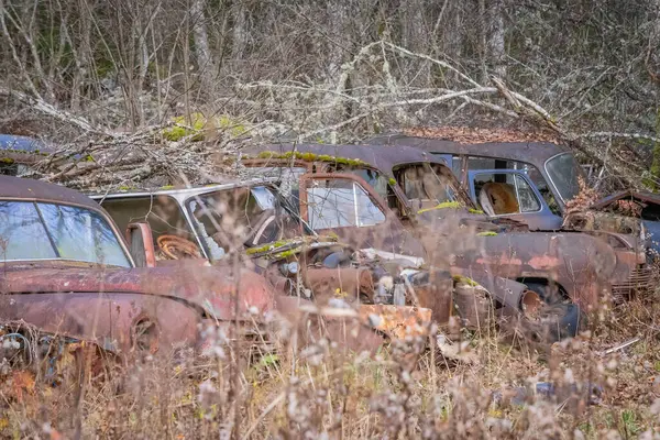 Piçler, Varmland, İsveç. 3 Kasım 2024. Bastnas Araba Mezarlığı 'nda hurda arabalar..