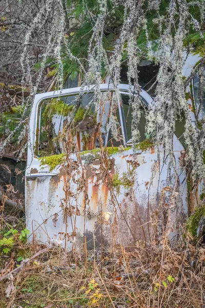 Piçler, Varmland, İsveç. 3 Kasım 2024. Bastnas araba mezarlığında hurda bir arabanın kapısı..