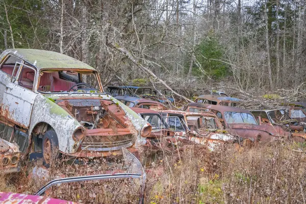 Piçler, Varmland, İsveç. 3 Kasım 2024. Bastnas Araba Mezarlığı 'nda hurda arabalar..