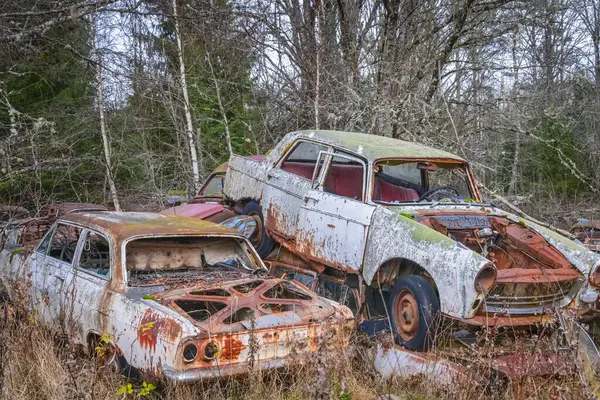 Piçler, Varmland, İsveç. 3 Kasım 2024. Bastnas Araba Mezarlığı 'nda hurda arabalar..