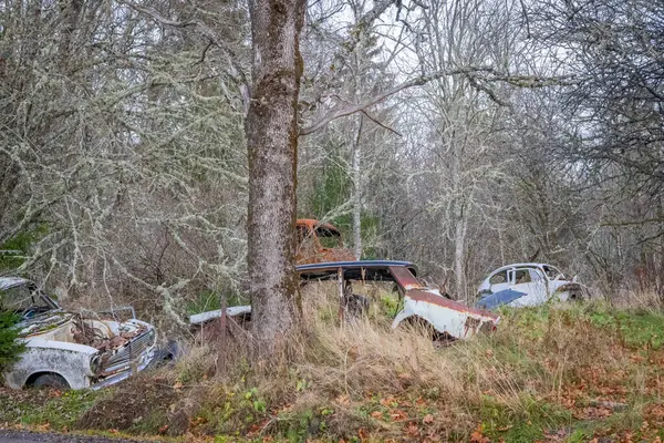 Piçler, Varmland, İsveç. 3 Kasım 2024. Bastnas araba mezarlığındaki bir ormanda hurda arabalar..