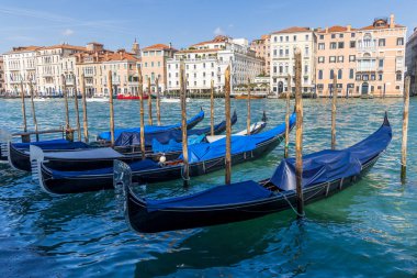 İtalya, Venedik. Gondollar Büyük Kanal 'da demirlemiş..