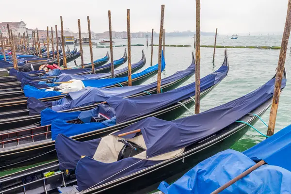 İtalya, Venedik. San Marco Meydanı. Gondollar meydanda demirlemiş, San Giorgio Maggiore Adası 'na doğru..