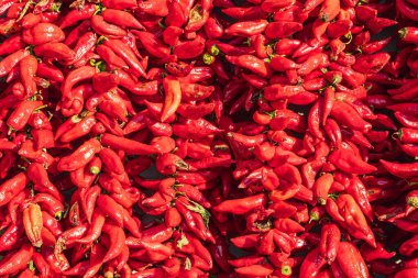 Koreshnica, Demir Kapı, Vardar, Kuzey Makedonya. Kurutmak için güneşte asılı kırmızı biber acıları..