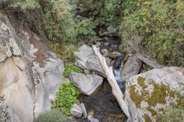 Novaci, Pelagonia, Kuzey Makedonya. Kuzey Makedonya tepelerindeki küçük kayalık nehir.