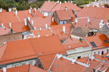 Petrovaradin, Novi Sad, Backa Bölgesi, Voyvodina, Sırbistan. Petrovaradin 'deki evlerin kırmızı çatıları.