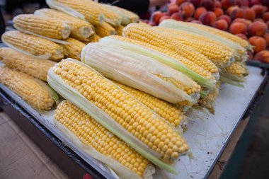 Belgrad, Sırbistan. Belgrad 'daki bir pazarda taze mısır..