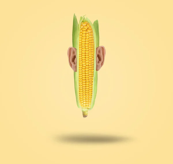 Коллаж Современного Искусства Кукуруза Початке Ушами Современная Концепция Питания Коллекция — стоковое фото