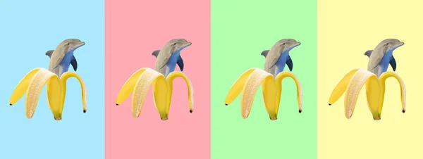 Hedendaagse Kunst Collage Banaan Dolfijn Modern Voedselconcept Graphics Een Zomerse — Stockfoto