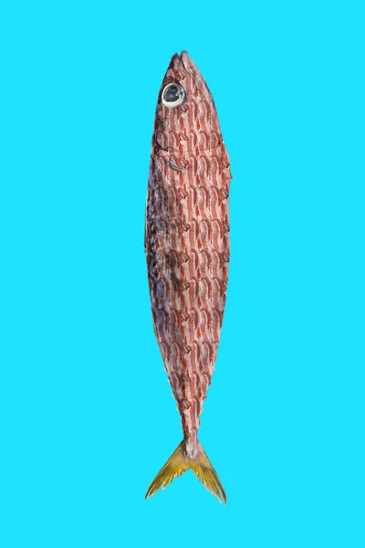 サバ魚とベーコンとのアートコラージュ 夏のパステルの背景の写真 現代の食の概念 広告とマーケティングのアイデア テキストの場所 — ストック写真