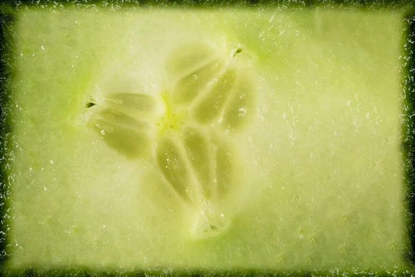 stock image Cucumber texture as a background. A close shot of a cucumber. Macro photo.cucumber.
