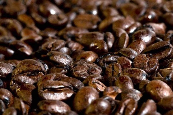 Ett Kaffekorn Som Bakgrund Närbild Tomat Makrofoto Ett Korn Kaffe Stockbild