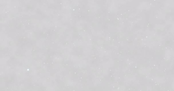 白色豪华波克背景 灰尘和闪光的颗粒背景 循环动画 — 图库视频影像