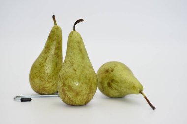 Speeding garden flowers like a raid of flower planes, spaceships