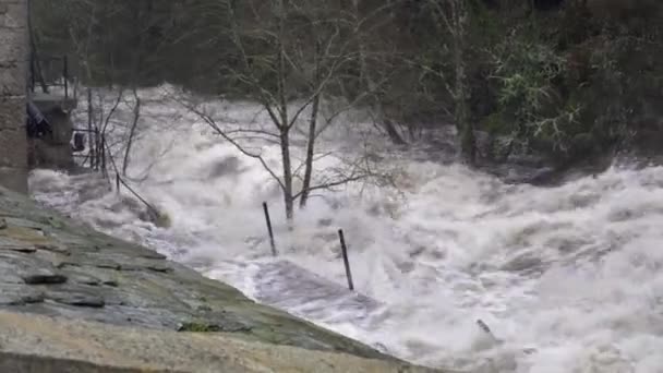 Přetékající Řeka Vysokým Průtokem Vody Silou Důsledku Silných Dešťů Způsobujících — Stock video