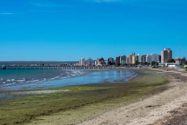 Puerto Madryn, Chubut ili, Arjantin. 16 Aralık 2022. Puerto Madryn şehir manzarası ve deniz yosunlu plaj