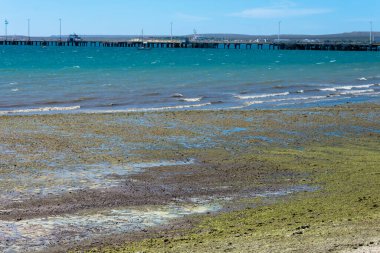 Puerto Madryn, Chubut ili, Arjantin. 16 Aralık 2022. Bir iskele ve deniz yosunlarıyla dolu bir sahil.