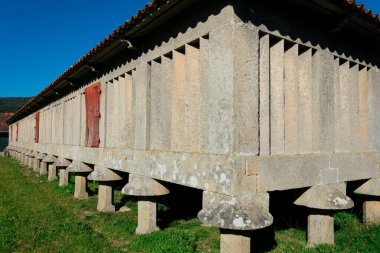 Poio, Galiçya. İspanya. 8 Şubat 2023. Galiçya 'nın en büyük Horreo' su, tipik bir tahıl ambarı. San Juan de Poio Manastırı