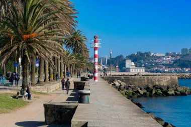 Palmiye ağaçları ve okyanus manzarası var. Oporto, Portekiz