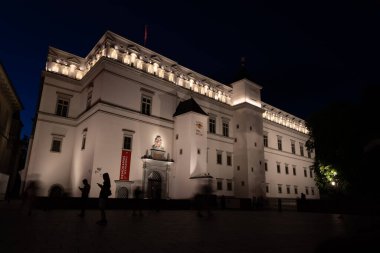 Vilnius, Litvanya. 29 Haziran 2024. Litvanya Büyük Dükleri Sarayı