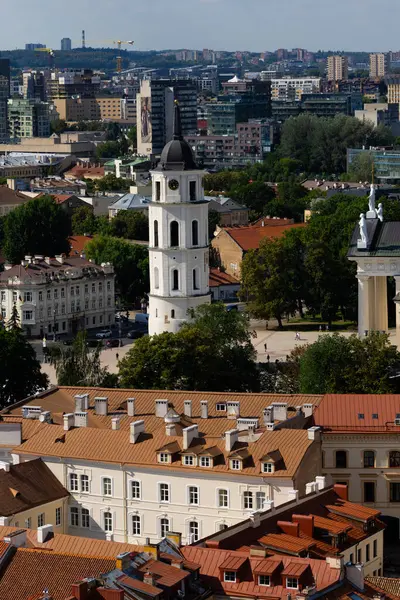 Vilnius, Litvanya. 28 Haziran 2024. Çan Kulesi ve St. John Kulesi 'nden Vilnius Katedrali