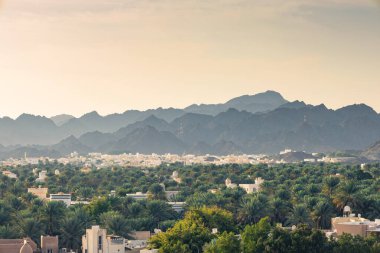 Nizwa, Umman. 08 Şubat 2025. Palmiyelerin bulunduğu yüksek hurma ağaçları, çadırlar, modern binalar ve dağlar...