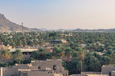 Nizwa, Umman. 08 Şubat 2025. Palmiyelerin bulunduğu yüksek hurma ağaçları, çadırlar, modern binalar ve dağlar...