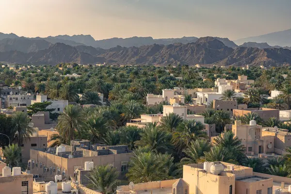 Nizwa, Umman. 08 Şubat 2025. Palmiyelerin bulunduğu yüksek hurma ağaçları, çadırlar, modern binalar ve dağlar...