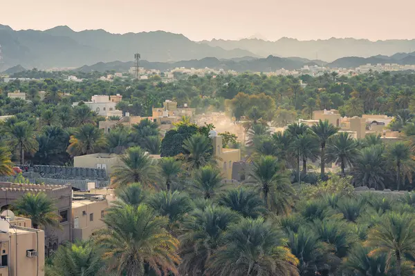 Nizwa, Umman. 08 Şubat 2025. Palmiyelerin bulunduğu yüksek hurma ağaçları, çadırlar, modern binalar ve dağlar...