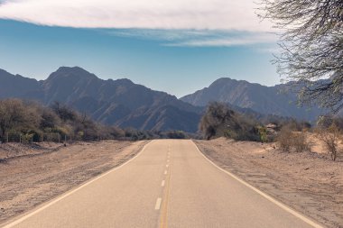 Kuru ağaçlar ve mavi gökyüzü tarafından çerçevelenmiş 60. yoldaki çöl yolu manzarası. Katamarca, Arjantin